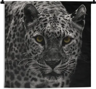 Produktbild von MuchoWow® Wandteppich Wandbehang Leopard - Schwarz - Weiß 60x60 cm Tapisserie Dekoration Wandtuch - Dekorationen - Wand Decke