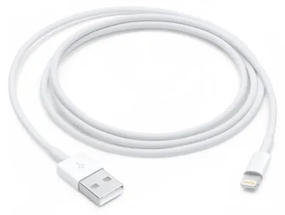 Immagine prodotto di Apple MD818ZM/A, 1 m, Lightning, USB A, maschio, bianco