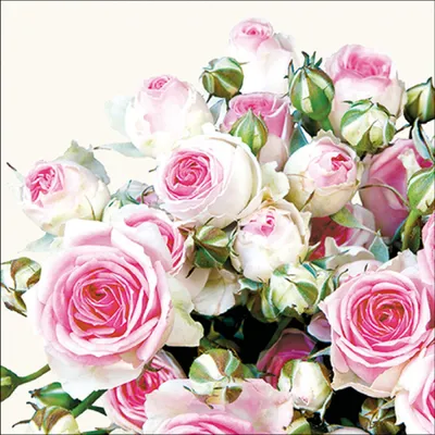 Produktbild von Servietten Papier 33x33cm 3-lagig mit Rosen Blumenmotiv 20 Stück