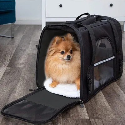 Immagine prodotto di Trasportino per piccoli animali domestici, gatti, cani, conigli: 44 L x 25 P x 28 A cm