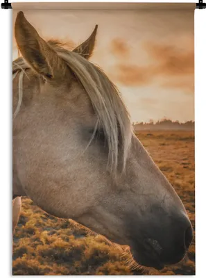 Produktbild von MuchoWow® Wandteppich Wandbehang Pferd - Tiere - Porträt 90x135 cm Tapisserie Dekoration Wandtuch - Baumwolle - Wandskulptur