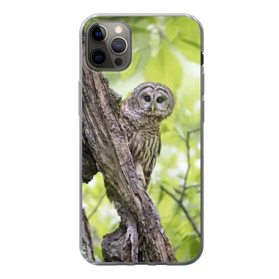 Produktbild von MuchoWow® Handyhülle Schutzhülle Hülle für iPhone 13 Pro Max Eule - Wald - Licht Silikon Softcase Handy Hülle - Mobiltelefon