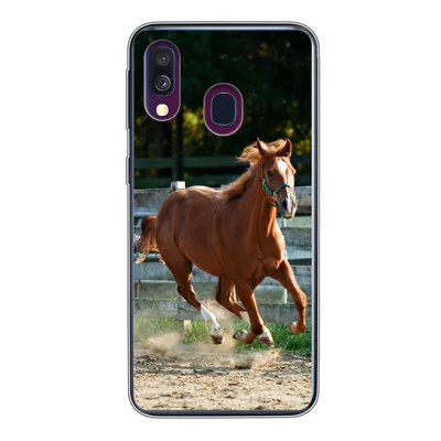 Produktbild von MuchoWow® Handyhülle Schutzhülle Hülle für Samsung Galaxy A40 Pferd - Licht - Sand Silikon Softcase Handy Hülle - Handy-Tasche