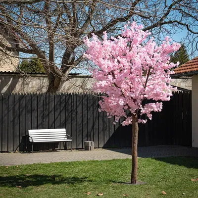Obrázek produktu pro DECOLED Sakura, 300 x 200 cm, růžová