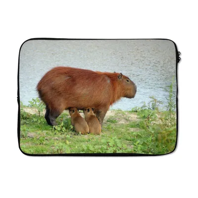 Produktbild von MuchoWow® Laptop Hülle 13 Zoll Ein Wasserschwein mit zwei Jungtieren in der Nähe des Wassers Laptoptasche - Laptophülle - Sleeve - Rundumschutz
