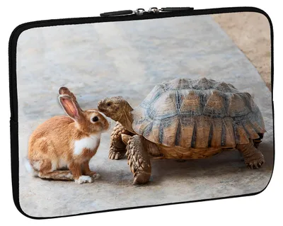 Produktbild von PEDEA Design Tablet-Tasche 10,1" rabbit and turtle