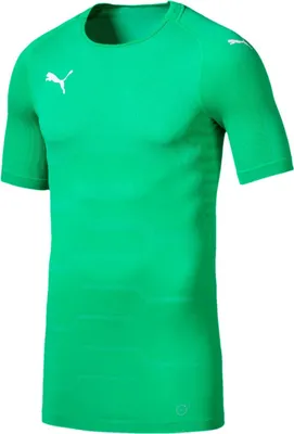 Produktbild von Puma FINAL evoKNIT GK Jersey BRIGHT GREEN-PUMA WHITE L