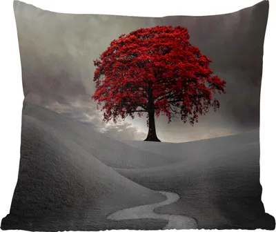 Produktbild von MuchoWow® Zierkissen Sofakissen Wohnzimmer Dekokissen 50x50 cm Ein Schwarz-Weiß-Foto mit einem großen roten Baum - Komfort - Sofakissen