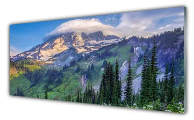 Produktbild von Acrylglasbilder 125x50 Wandbild Druck Gebirge Wald Landschaft