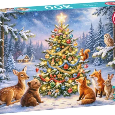 Obrázek produktu pro Puzzle CherryPazzi, 300 dílků, "Feel the Magic", model 10006