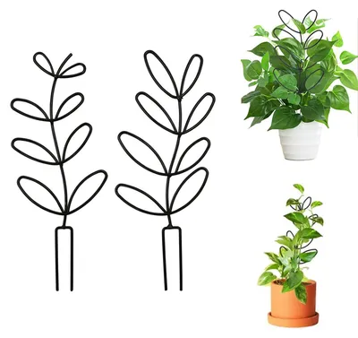 Productafbeelding van Set van 2 plantensteunen voor kamerplanten en tuinplanten