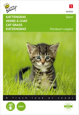 Artikelbild 2 von 'Katzengras Gerste' aus der Kategorie Kleintiersaaten