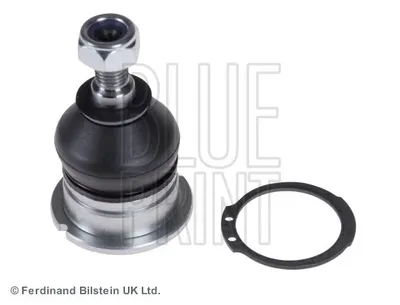 Produktbild von BLUE PRINT Traggelenk Vorne Links oben Vorne Rechts für HONDA Accord VI Limousine (CK, CG, CH, CF8) ADH286149