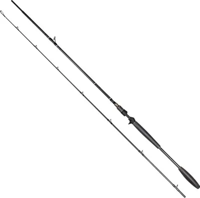 Zdjęcie produktu dla Westin W10 Powercast-T 2,40m XXH 40-150g Baitcastrute
