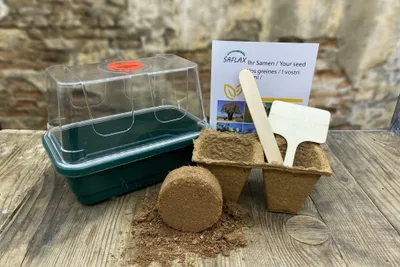 Zdjęcie produktu dla SAFLAX - Zestaw do uprawy - Polne Kwiaty - Jadalne Kwiaty - 1000 Nasiona - Z mini szklarnią, podłożem uprawowym i 2 doniczkami - Mix