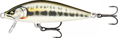 Obrázek produktu pro Rapala Wobbler CountDown Elite (GDMN)