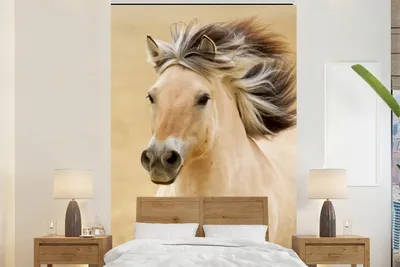 Obrázek produktu pro MuchoWow® Fototapety do obývacího pokoje nebo ložnice tapety vinylové motivy tapety Koně - Zvířata - Hříva - Portrét 170x260cm