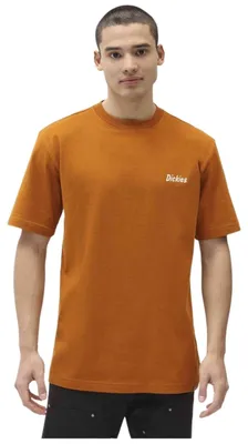 Image de T-shirt Dickies DICKIES BETTLES - Camiseta pour Homme