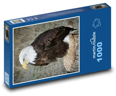 Obrázok produktu pre Puzzle 1000 Majestátny orol na bidielku - martinpuzzle