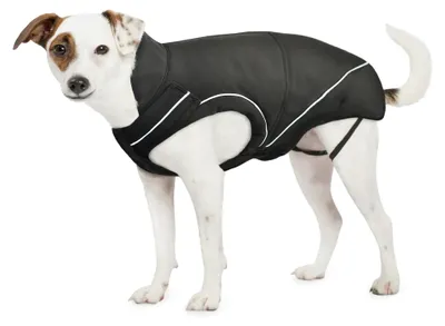 Produktbild von DogBite Hunde-Softshelljacke schwarz, wasserdicht, pflegeleicht, winddicht, Rückenlänge 30 cm
