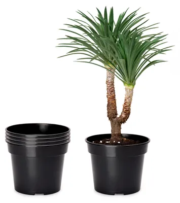 Produktbild von 5 Stück Kunststoff rund Pflanztopf Kräutertopf Anzuchttopf  für Garten ⌀ 41,5cm H=30,5cm GD-0025