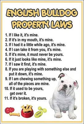 Produktbild von vianmo Holzschild 18x12 cm english bulldog property laws