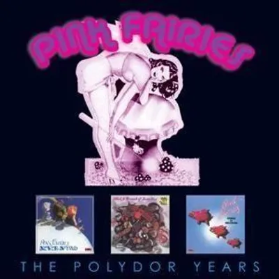 Produktbild von The Polydor Years