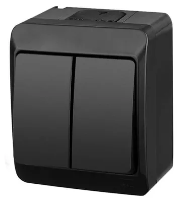 Immagine prodotto di Elektro-Plast | Interruttore Doppio Hermes - Nero - IP44 - Design Elegante - Installazione Facile