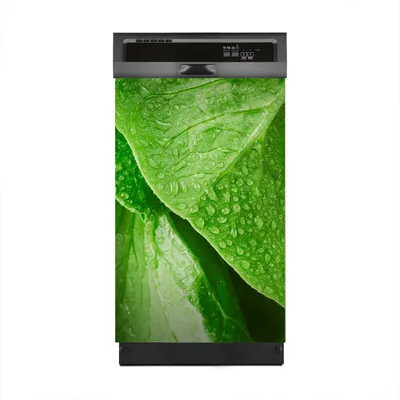 Produktbild von Magnete Dekorative 45x70 cm Küche Magnetmatte Spülmaschine - Salat Blätter