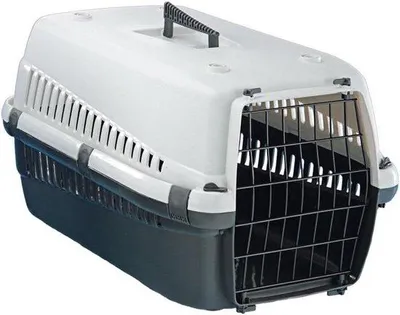 Productafbeelding van Famanu Transportbox, grijs, 54 x 38 x 33 cm - Stabiel en comfortabel voor huisdieren