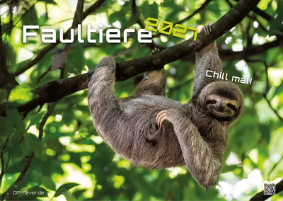 Produktbild von Faultiere - Chill mal! - 2027 - Kalender DIN A3