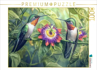 Produktbild von CALVENDO Puzzle Kolibris | 1000 Teile Lege-Größe 64x48cm Foto-Puzzle für glückliche Stunden