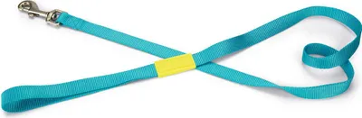 Produktbild von Beeztees Uni - Hundeleine - Nylon - Hellblau - 120 cm x 20 mm