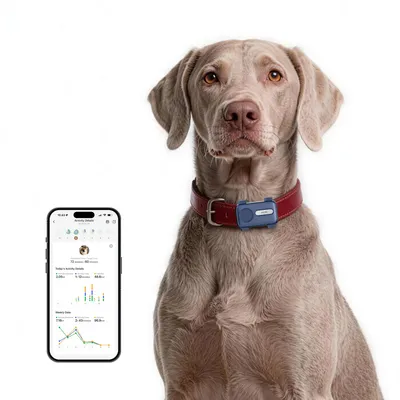 Produktbild von MOVA SureTrack Pro GPS Tracker für Hunde, Echtzeit-Ortung, 4G/5G, IP67, 2-Wege-Audio