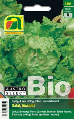 Produktbild von Eissalat Grazer Krauthäuptel 2 | Eissalatsamen von Austrosaat