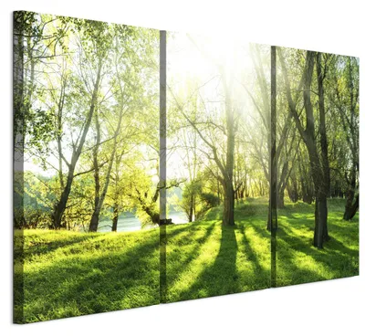 Immagine prodotto di Set di 3 quadri decorativi LUMASOUL per soggiorno, motivo: foresta, dimensioni 90x60 cm. Set di 3 stampe su tela ideali per camera da letto, corridoio, ufficio e cucina