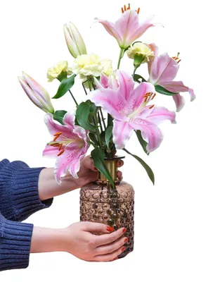 Produktbild von Blumenstrauß Blütentraum | Geschenk - frische Blumen | Blumenversand von BLOOMY DAYS