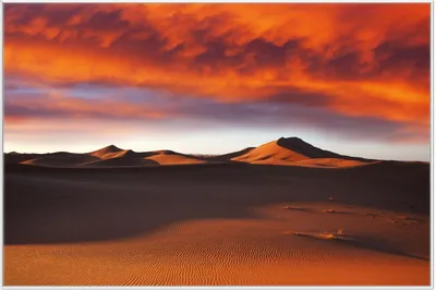 Produktbild von Wallario Wandbild Sahara Wüste II - Sanddünen im Sonnenuntergang, Größe: 61 x 91,50 cm, Poster mit weißem Aluminiumrahmen