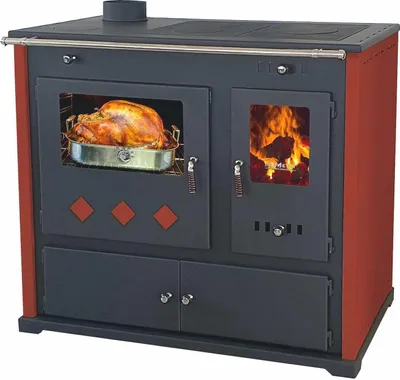 A wood-burning stove with a turkey roasting in the oven and a fire burning in the firebox.