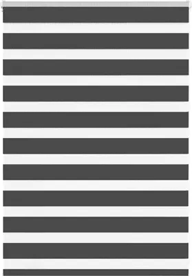 Produktbild von Doppelrollo Schwarz 105x100 cm Stoffbreite 100,9 cm Polyester