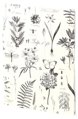 Produktbild von RÖSSLER Briefpapierpack Botanicals 10 Blatt/10 Briefumschläge
