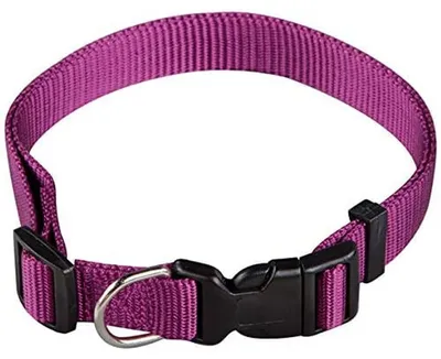 Produktbild von Halsband für Hunde, aus Nylon, in Lila