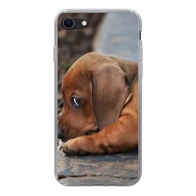 Produktbild von MuchoWow® Handyhülle Schutzhülle Hülle für iPhone 8 Dackelwelpe liegt am Rande des Bürgersteigs Silikon Softcase Handy Hülle - Schutzhaube