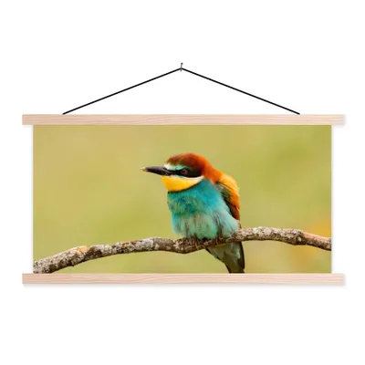 Produktbild von MuchoWow® Textilposter Vogel - Bienenfresser - Tiere 60x30 cm mit holzfarbenen Rahmen - Dekoration