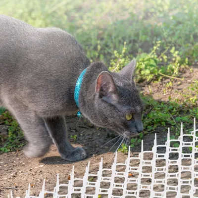 Obrázek produktu pro Anti Cat Spike Rohože, sada 12 kusů - Odstrašovač zahradních zvířat