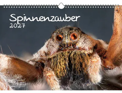Produktbild von Spinnenzauber DIN A3 Kalender für 2027 - Seelenzauber