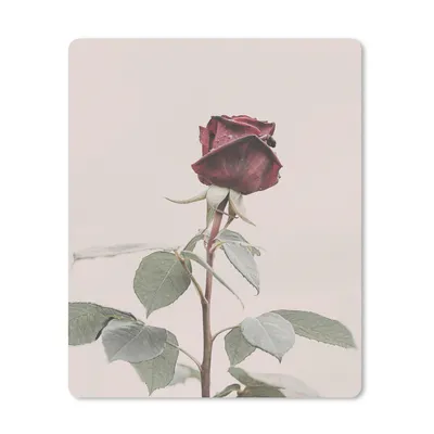 Produktbild von MuchoWow® Mauspad Mousepad Blumen - Rot - Rosen - Grün 19x23 cm - Mousepads - Maus Mat - Pad - Mausunterlage - Mauspads - Spielen