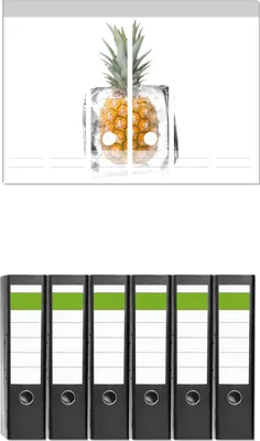 Produktbild von Wallario 6 Stück breite Ordner inkl. Klebeetiketten mit Motive Ananas in Eiswürfel - Eiskaltes Obst -  Set mit Rückenschildern / Ordnerrücken Stickern