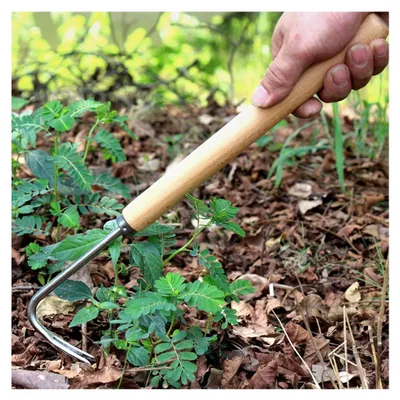 Produktbild von Unkrautstecher Edelstahl 3 Stück mit Holzgriff, manueller Unkrautjäter für den Garten
