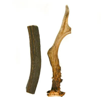 Produktbild von Hirsch- & Rehwigeweih L 111 - 230 g 13-22 cm Hard natürliches Geweih, Öko Kausnack für Hunde, gesundes Kauspielzeug, Kauknochen für Genuss,Zahnpfleg